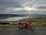 IMG_1416.jpeg
